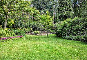 Optimiser l'expérience du jardin à Ferriere-Larcon