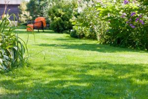 travaux jardin et paysage Ferriere-Larcon